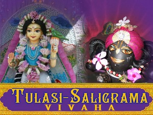 Tulasi Saligrama Vivaha (marriage)