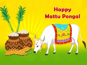 Mattu Pongal