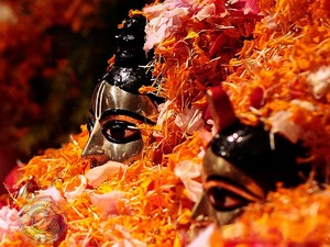 Shri Krishna Pushya Abhisheka