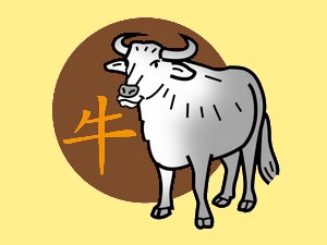 Ox (earth): chinese (eastern) horoscope