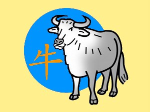 Ox (water): chinese (eastern) horoscope