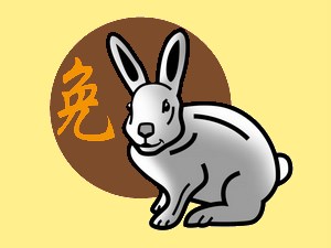 Rabbit (earth): chinese (eastern) horoscope