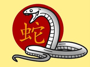 Snake (fire): chinese (eastern) horoscope