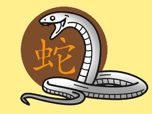 Snake (earth): chinese (eastern) horoscope