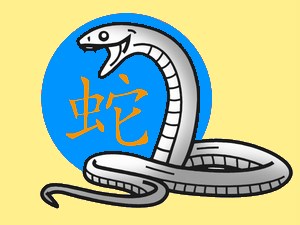 Snake (water): chinese (eastern) horoscope