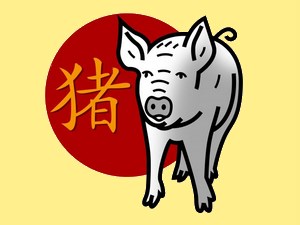 Pig (fire): chinese (eastern) horoscope