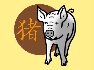 Pig (earth): chinese (eastern) horoscope