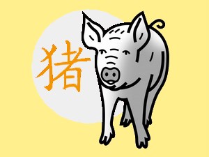 Pig (metal): chinese (eastern) horoscope