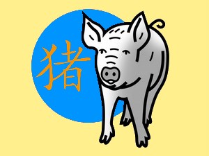 Pig (water): chinese (eastern) horoscope