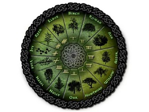 Celtic tree (druids') lunar horoscope