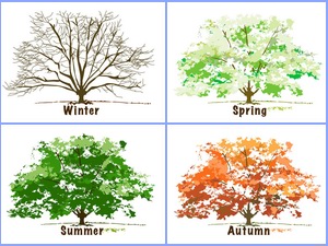 Horoscope by seasons